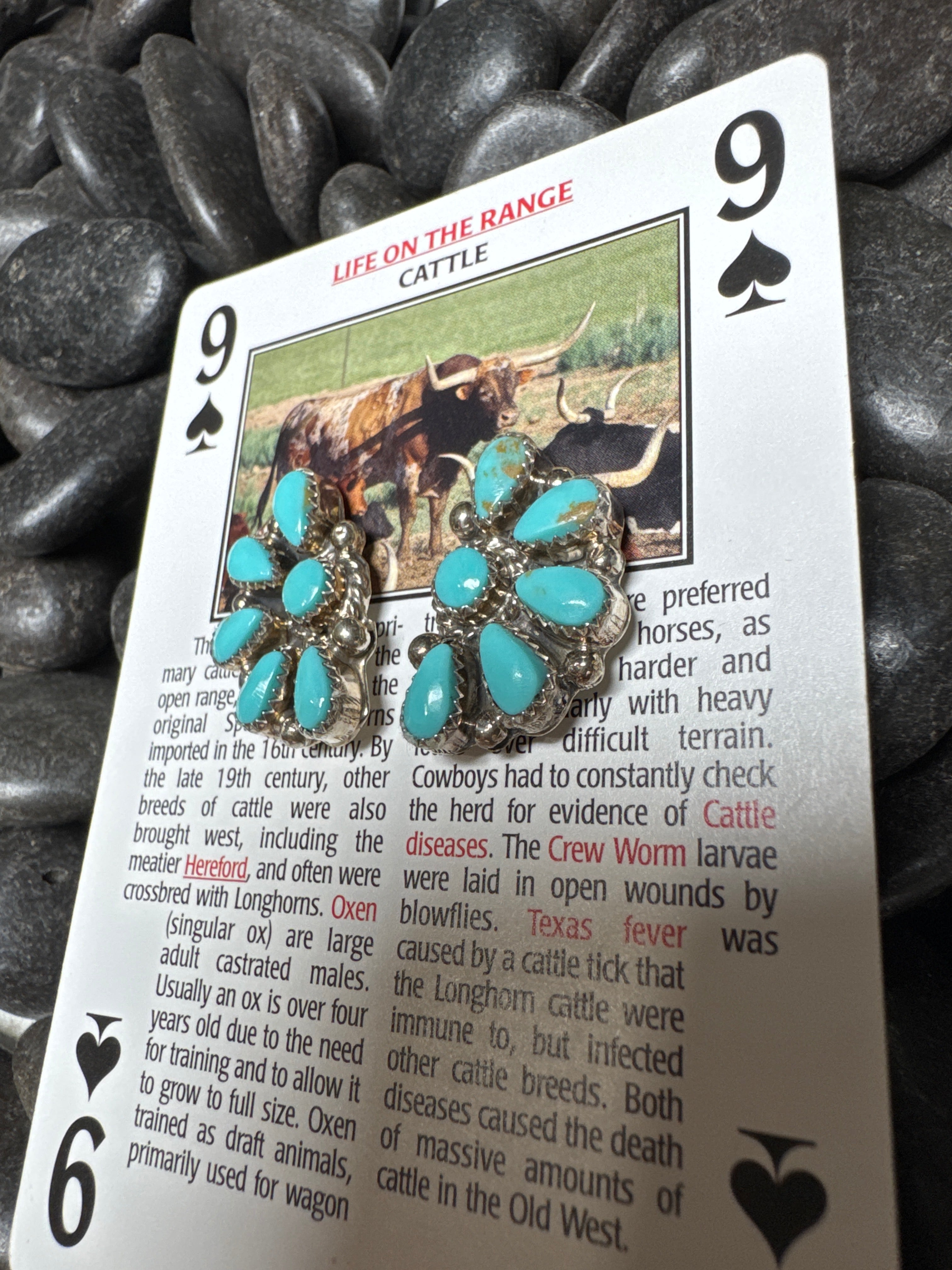 Sterling Silver Turquoise Cluster Earrings by Alicia Wilson