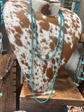 60” - Campitos Turq Beaded SS Necklace